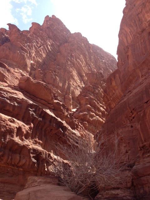 В Египте разбился российский пассажирский самолет (on-line информация с «Дождя» по ссылке&nbsp;внизу)