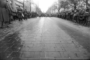 10351601_1499910296960971_5738990362271109373_n