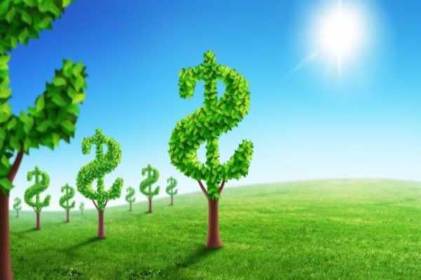 Деньги ЕС в Беларуси получают мифические «зелёные»&nbsp;организации