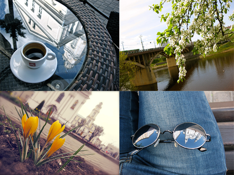 № 2. Фотографии Ирины Денисовой