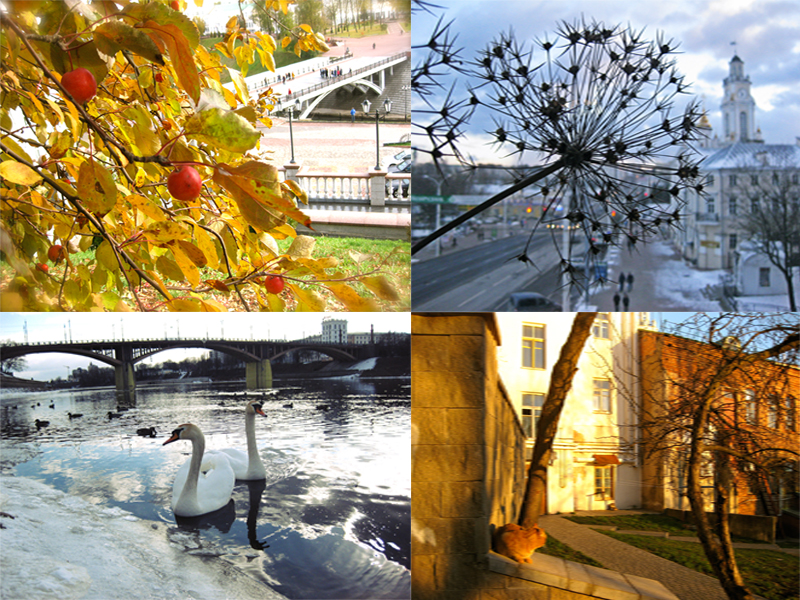 № 3. Фотографии Ирины Денисовой