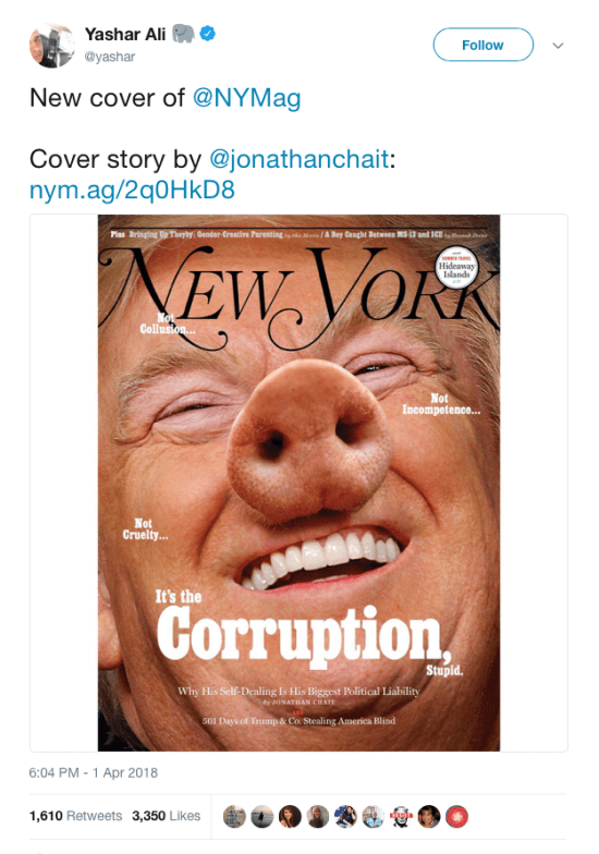 tweet NYmag