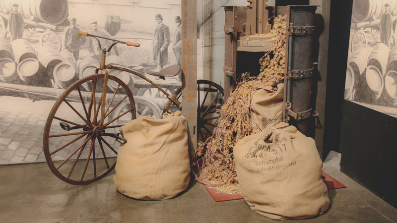 «Пиво можно сделать и в подвале, главное —&nbsp;желание»