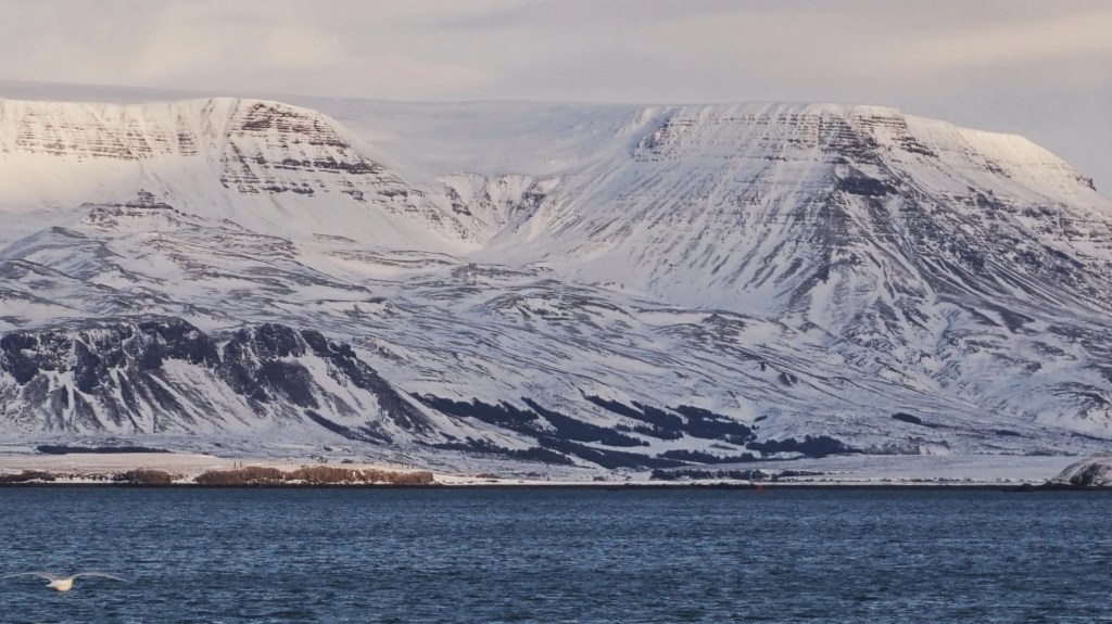 Жизнь в Исландии: разговор со студенткой&nbsp;ERASMUS+