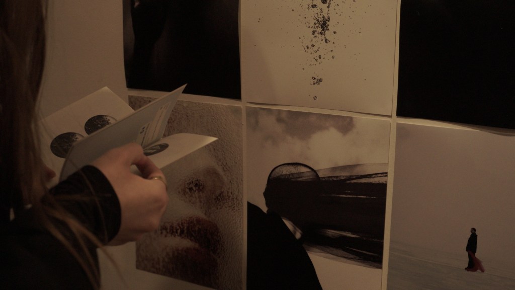 Посмотрели «Просмотр». И ты посмотри! Коротко о студенческой&nbsp;выставке