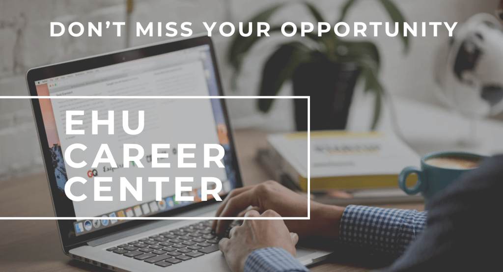 «Человек то дельфинов спасал, то в банке работал». Интервью с координаторкой карьерного центра